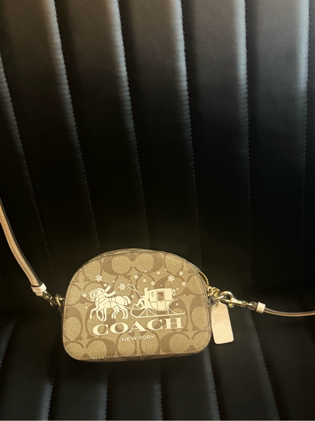 Coach Brown Signature Dome Crossbody With White Logo